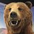 Brandon Laseter's profile image