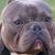 Marcus Richardson's profile image