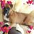 Ruth Burk's profile image