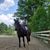 Darlene Strohmeyer's profile image