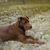 Kellie Sims's profile image