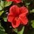 Danette Motyka Janickovic's profile image