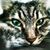 Luann Johnson's profile image