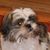 Rozanne Reahle's profile image