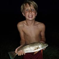 Liz Sattory Griffin's profile image