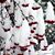 Kathleen Reams Cavender's profile image