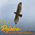 Christina Doyle's profile image
