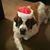 Millie Musolf's profile image