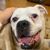 Mary Pat Flanigan's profile image