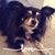 Gloria Bourgoine McMackin's profile image