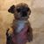 Melissa S Dunlay's profile image