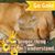 Melissa Crews-Sills's profile image