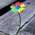 Ruth Ann Edwards's profile image