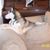 Debi Stulack Diacont's profile image