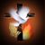 Debra Anders's profile image