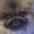 Sheree Moskow's profile image
