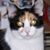 Mary E. Collazo's profile image