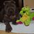 Marjie Krupnick's profile image
