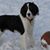 Diane Nadeau Palys Long's profile image