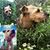 Laura Bannister's profile image