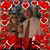 RoseAnn Pusateri-Rowe's profile image