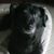Gary Gilmore's profile image