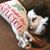 Susan Bishop's profile image