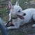 Karen Bigley's profile image