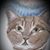 Cindi Rahier's profile image