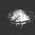 William Hewitt Jr.'s profile image