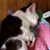 Denise Beyor's profile image