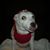 Sherri Knapp's profile image