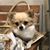 Philipp Hafner's profile image