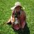 Alicia Caleb's profile image