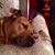 Tony Pawlowski's profile image