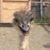 Shelly Zattosky Zikmund's profile image