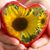 Penny Ashley Esterley's profile image