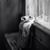 Terri Michele King's profile image