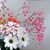 Karen Mays-Weiss's profile image
