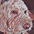 Nancy Carnley Leon's profile image