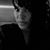 Ana Yasmin's profile image