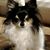 Shelly Griggs's profile image