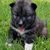 Julie Conner Santos's profile image