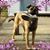 Johanna Remeikis Gajda's profile image