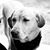 Janelle Sweeten's profile image