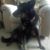 Rolly Stevenson's profile image