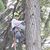 Jaime Diaz Esquivel's profile image