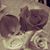 Jennifer Pawlowski Fisher's profile image