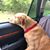 Sue Bohr's profile image