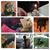 Alyssa Colaianni's profile image
